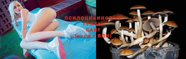 дживик Алексин