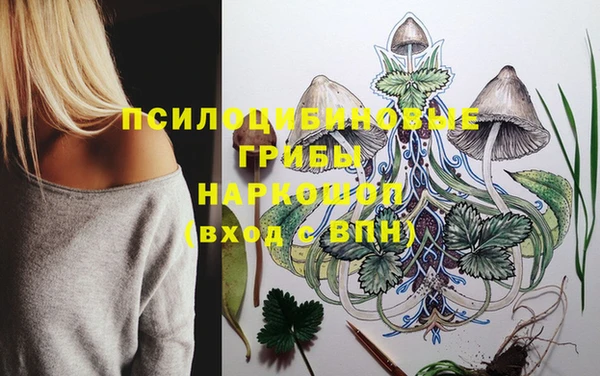 амфетамин Алексеевка