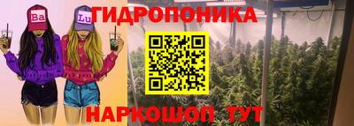 PSILOCYBIN Аргун