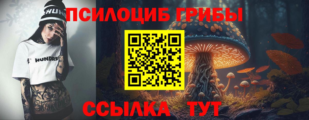 Галлюциногенные грибы Psilocybe Аргун