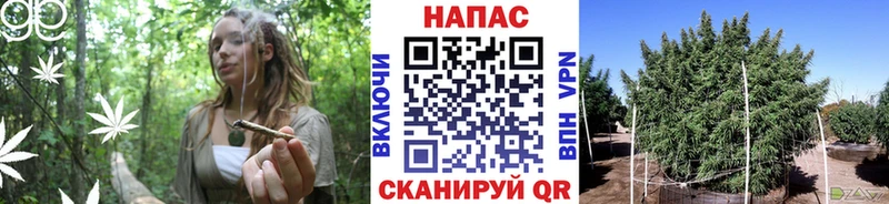 Канабис индика  сколько стоит  Аргун 